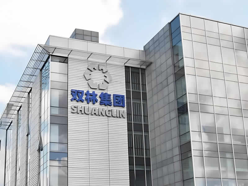 寧波雙林汽車(chē)部件股份有限公司